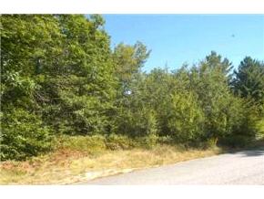 0 Cobb Farm Road Bartlett, NH 03846 - Photo 3 of 4