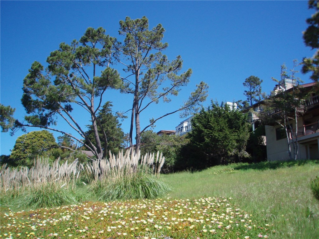 1970 Emmons Road Cambria, CA 93428 - Photo 11 of 16 a view of a garden