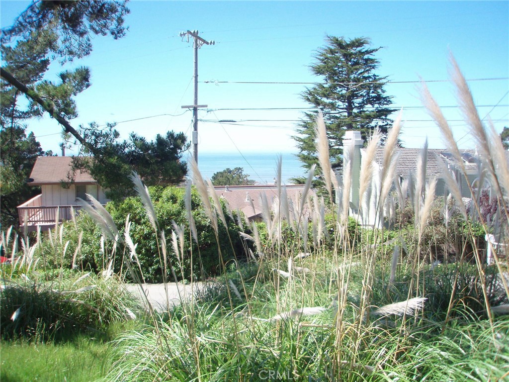 1970 Emmons Road Cambria, CA 93428 - Photo 13 of 21 a view of a garden
