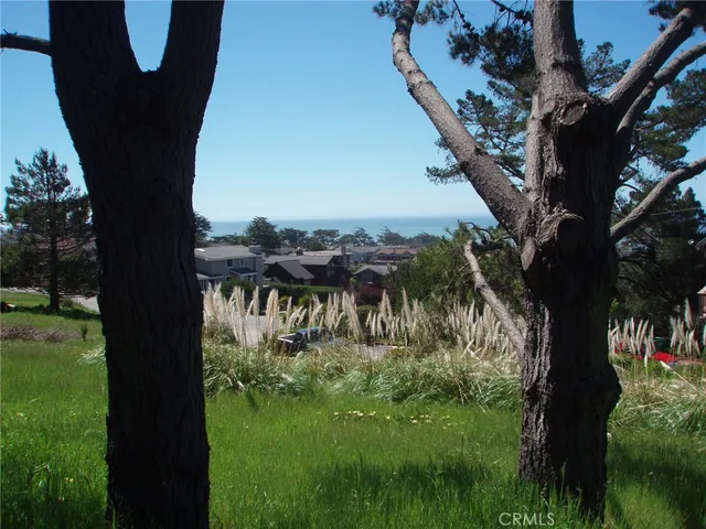 a view of a yard in a yard