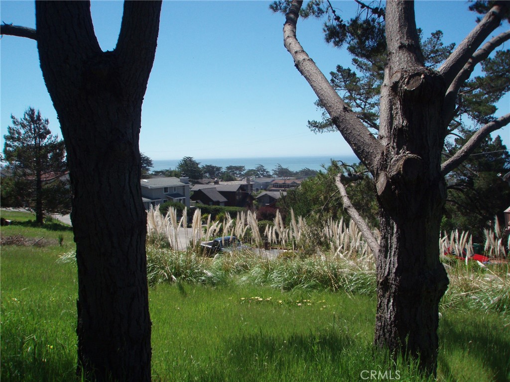 1970 Emmons Road Cambria, CA 93428 - Photo 14 of 21 a view of a yard in a yard