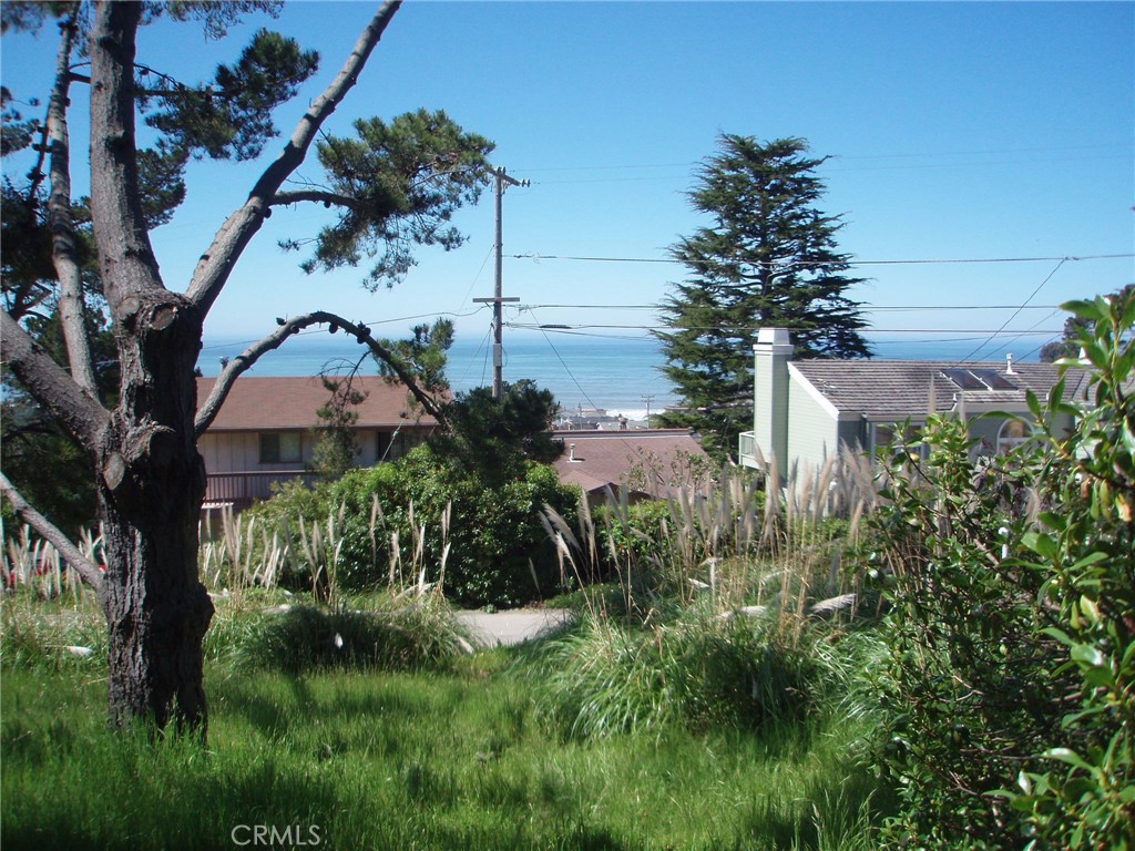 1970 Emmons Road Cambria, CA 93428 - Photo 15 of 21 a view of a garden