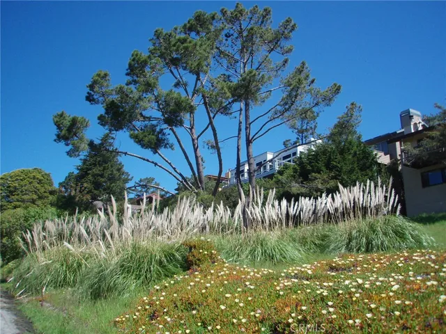 a plant that is in front of a house