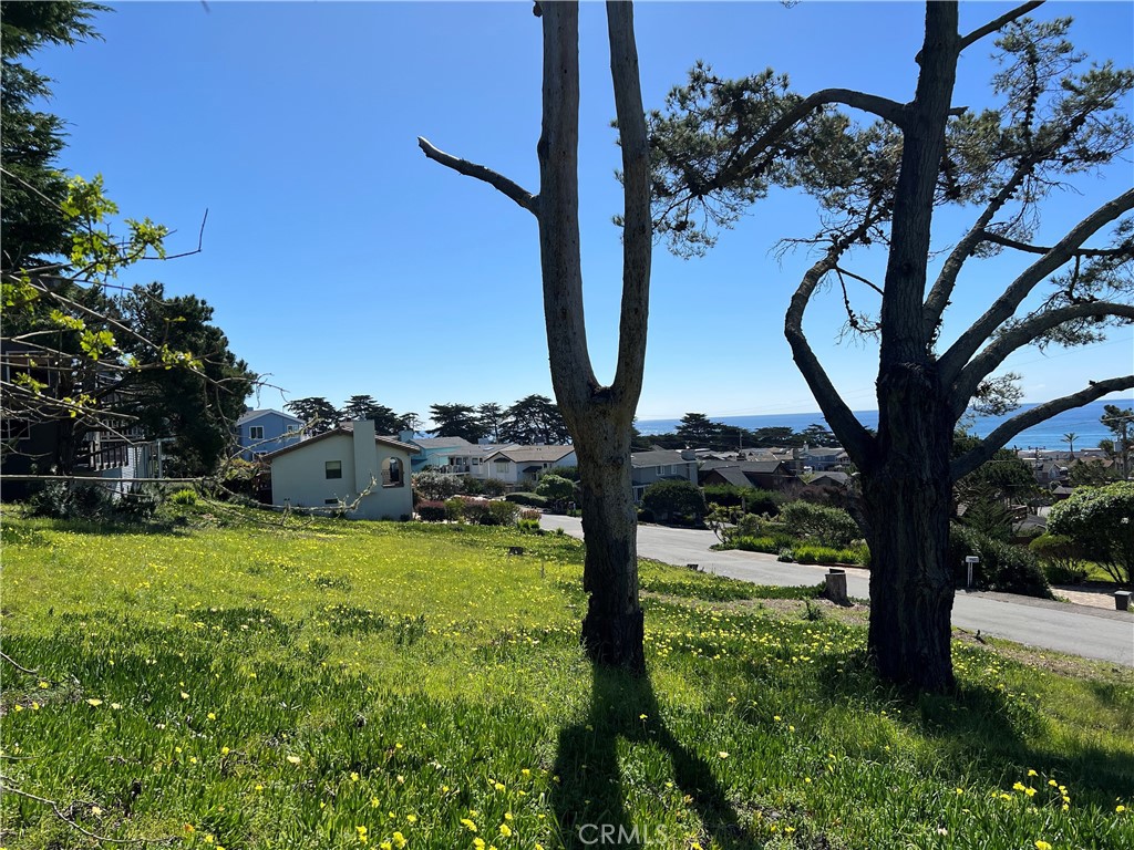1970 Emmons Road Cambria, CA 93428 - Photo 5 of 16 a view of a tree in front of a house