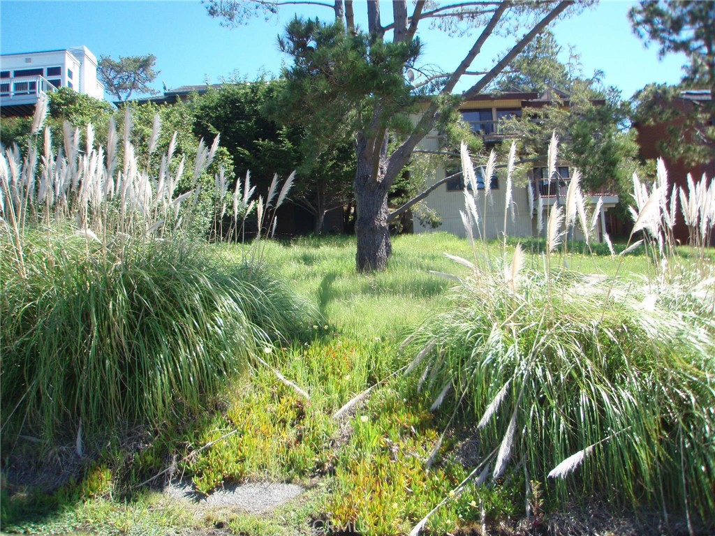 1970 Emmons Road Cambria, CA 93428 - Photo 5 of 21 a view of yard with green space