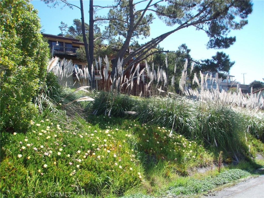 1970 Emmons Road Cambria, CA 93428 - Photo 6 of 21 a backyard of a house with lots of green space