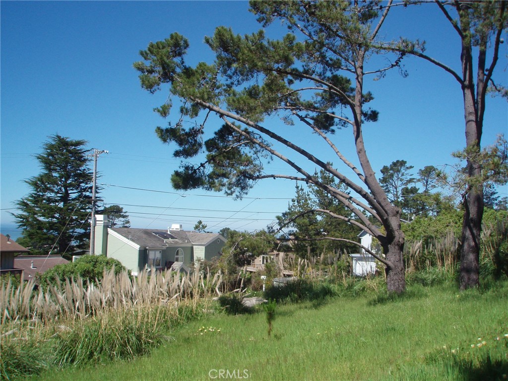 1970 Emmons Road Cambria, CA 93428 - Photo 10 of 21 a view of a house with a yard