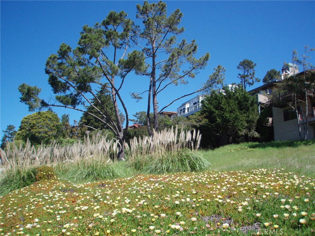 1970 Emmons Road Cambria, CA 93428 - Photo 10 of 16 a backyard of a house with lots of green space