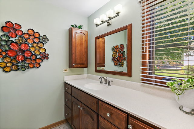 1871 Fox Run Drive, Unit A Elk Grove Village, IL 60007 - Photo 17 of 27 a bathroom with a sink mirror and vanity