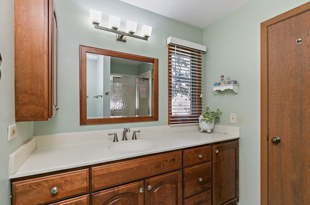 1871 Fox Run Drive, Unit A Elk Grove Village, IL 60007 - Photo 20 of 27 a bathroom with a sink and a mirror