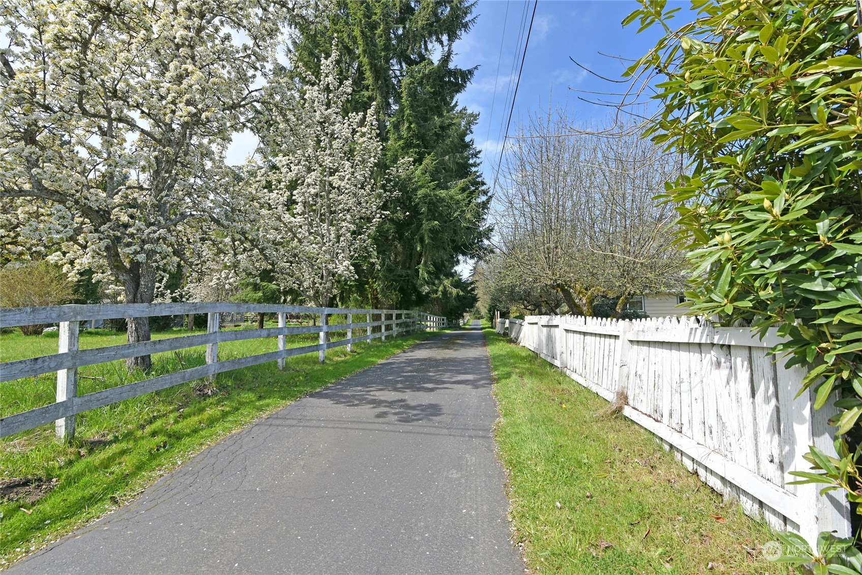 a view of a backyard with wooden fence