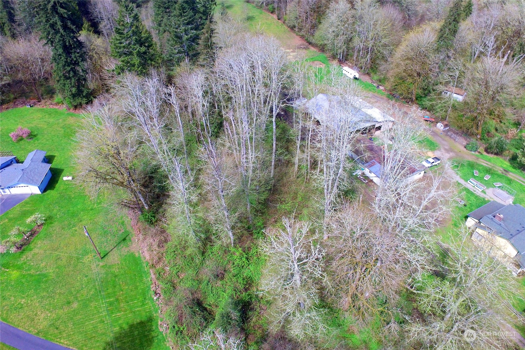 1 Bethel Burley Road Southeast Port Orchard, WA 98367 - Photo 15 of 26 a backyard of a house with lots of green space