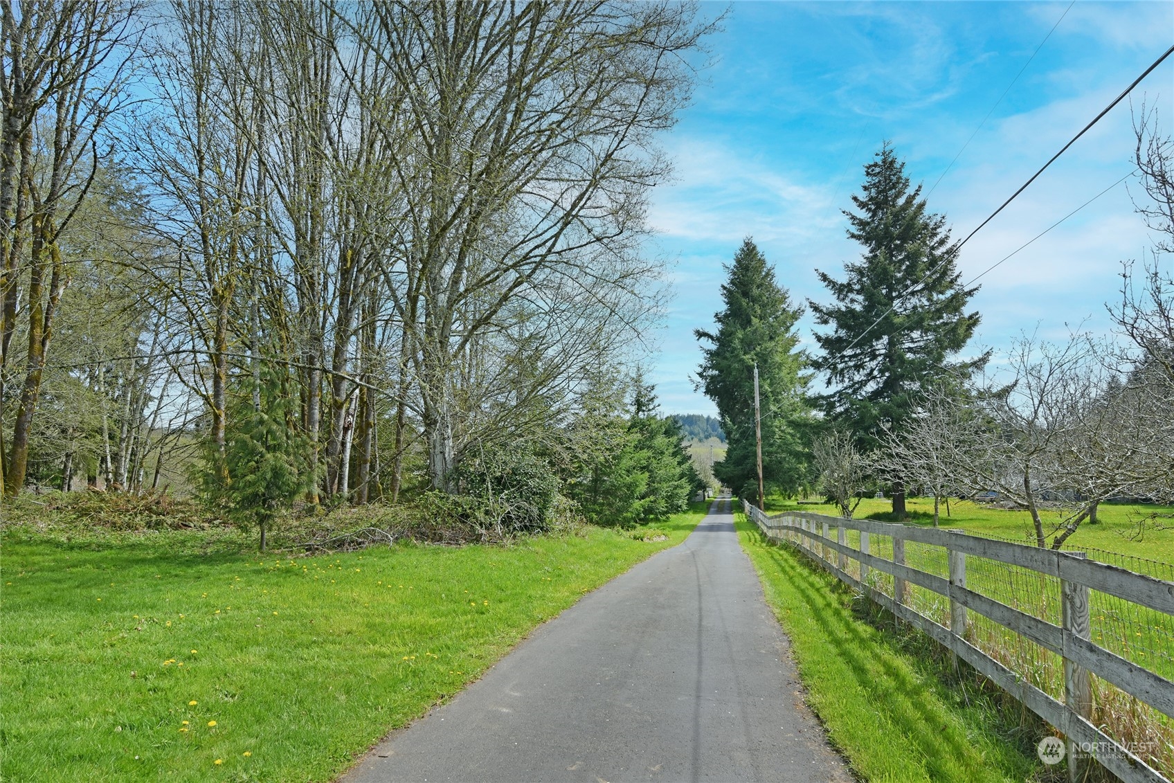 1 Bethel Burley Road Southeast Port Orchard, WA 98367 - Photo 5 of 26 a view of park with large trees