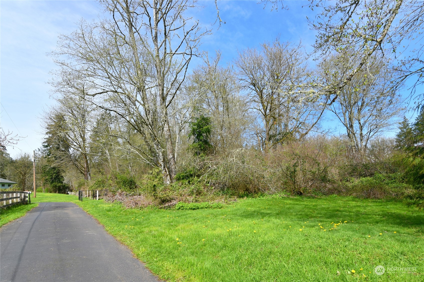 1 Bethel Burley Road Southeast Port Orchard, WA 98367 - Photo 7 of 26 a view of a park with large trees