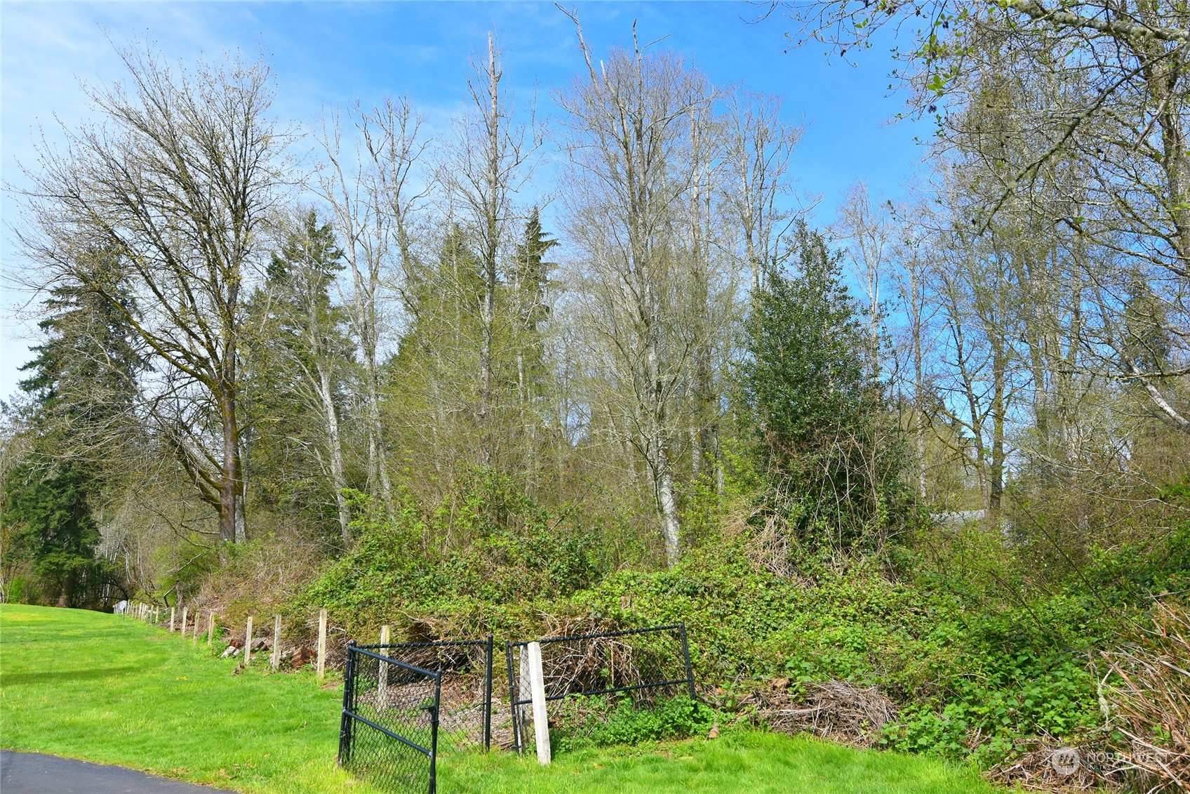 1 Bethel Burley Road Southeast Port Orchard, WA 98367 - Photo 9 of 26 a view of a yard with large trees