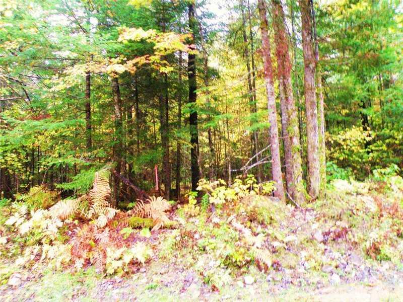 Lot 9 Lower Drew Road Kingman, ME 04451 - Photo 8 of 8 Land.