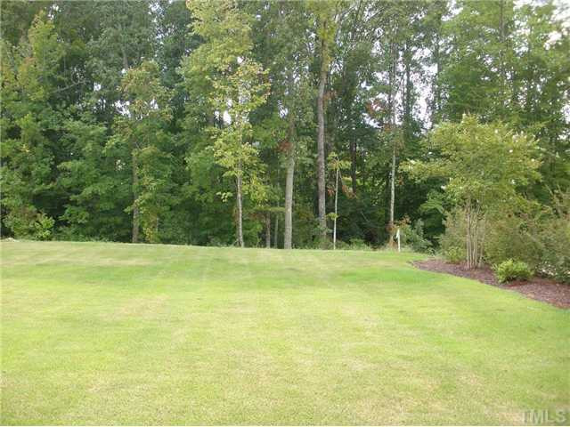 819 Wellbrook Station Road Cary, NC 27519 - Photo 19 of 20 Back Yard