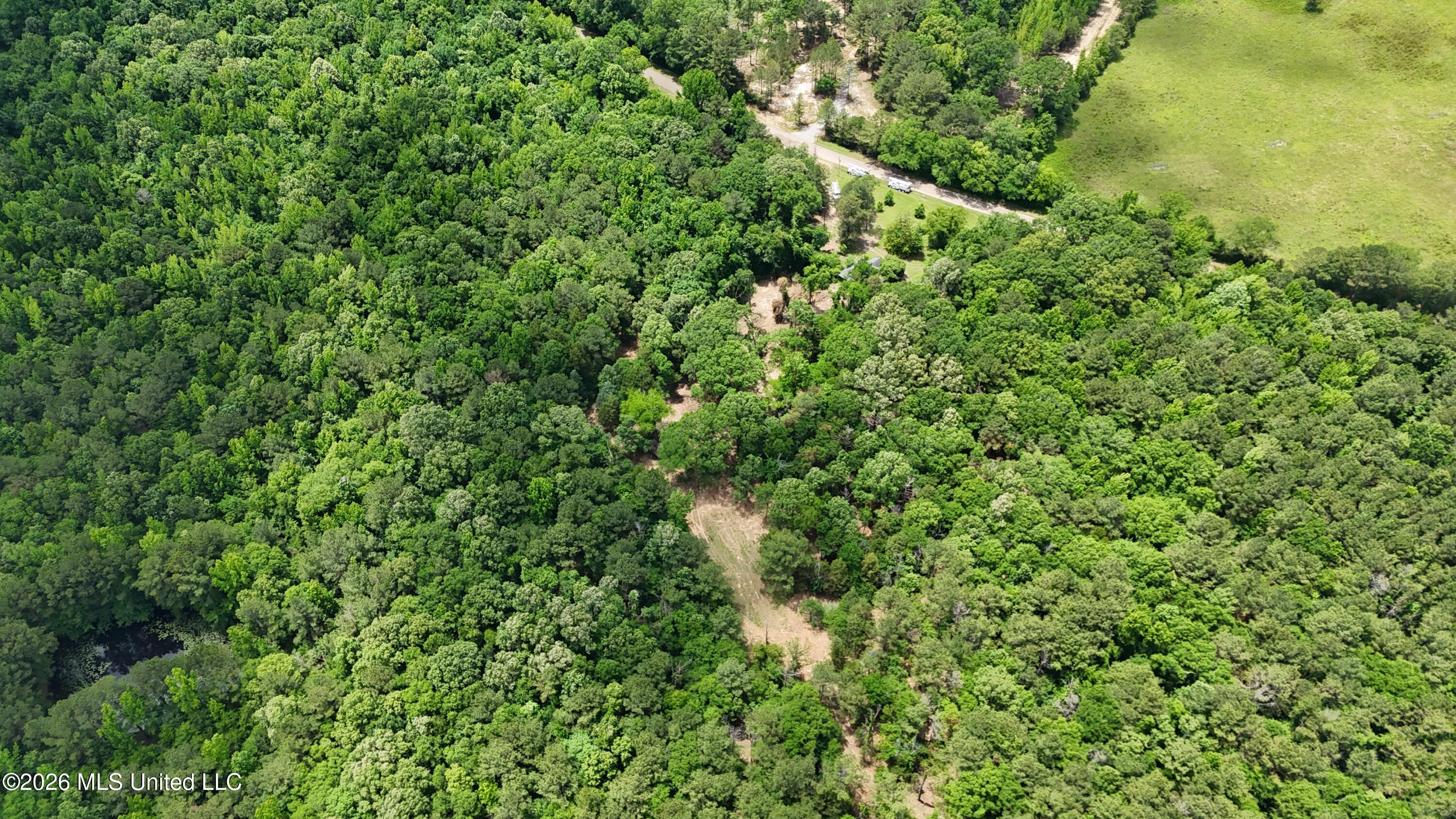 164 Potluck Road Canton, MS 39046 - Photo 3 of 25 dji_fly_20260519_124242_0803_17812852465