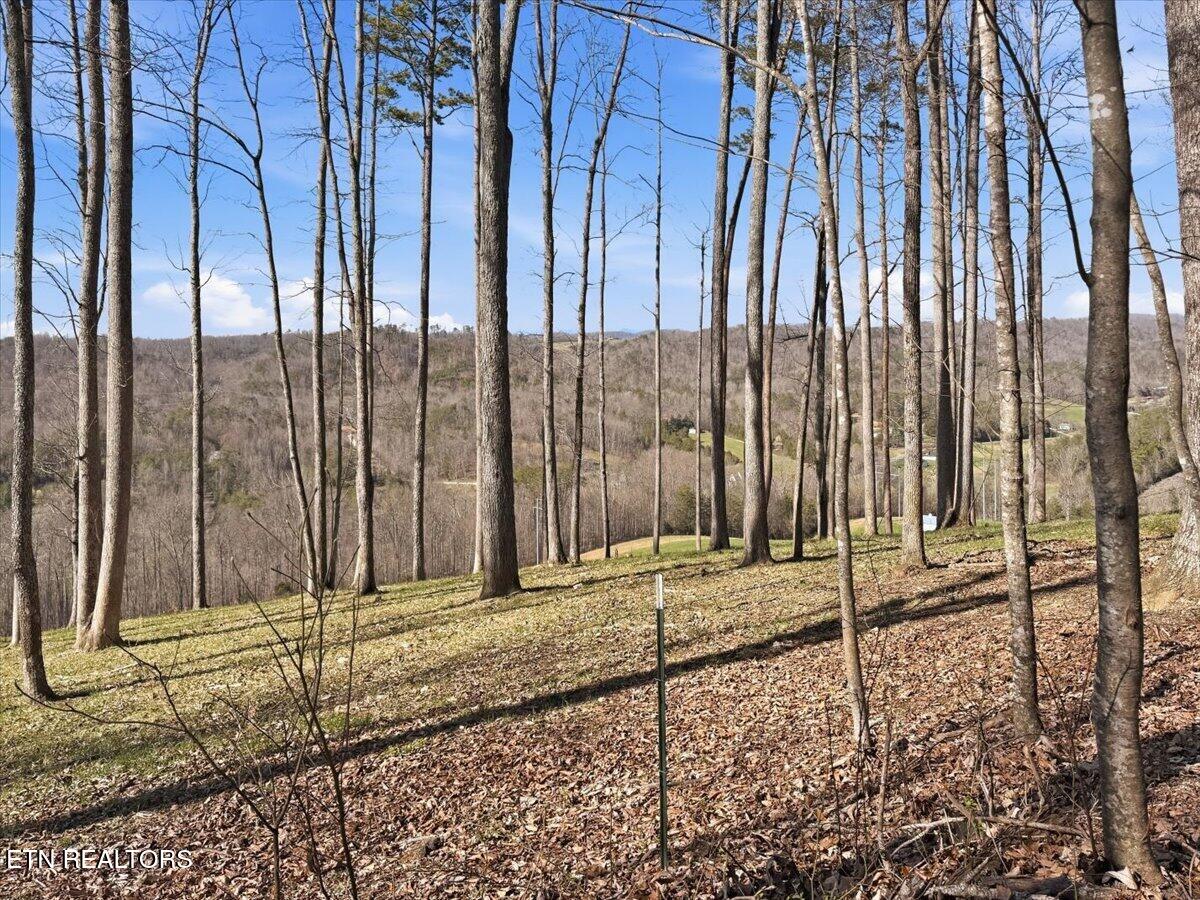 180 Hill Road Heiskell, TN 37754 - Photo 4 of 18 07-003_IMG_2020