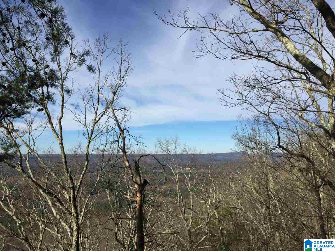 89 North County Road Mentone, AL 35984 - Photo 8 of 18