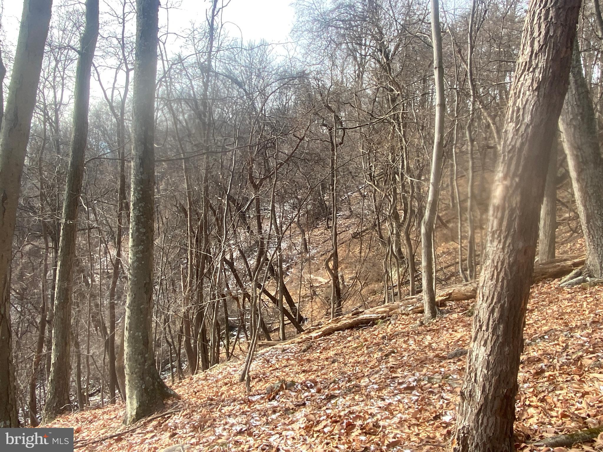 14600 Williams Road Southeast Cumberland, MD 21502 - Photo 102 of 109