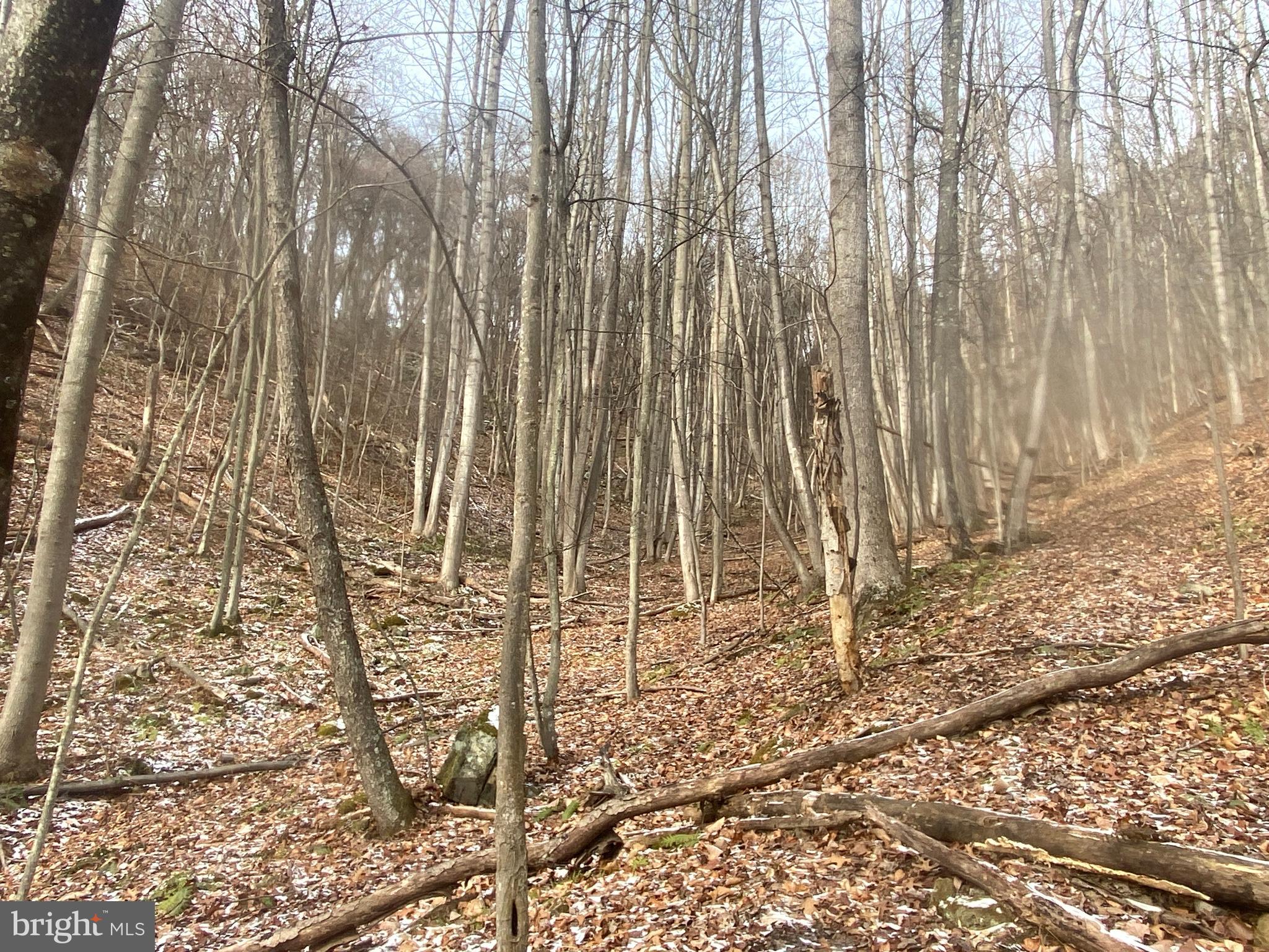 14600 Williams Road Southeast Cumberland, MD 21502 - Photo 103 of 108