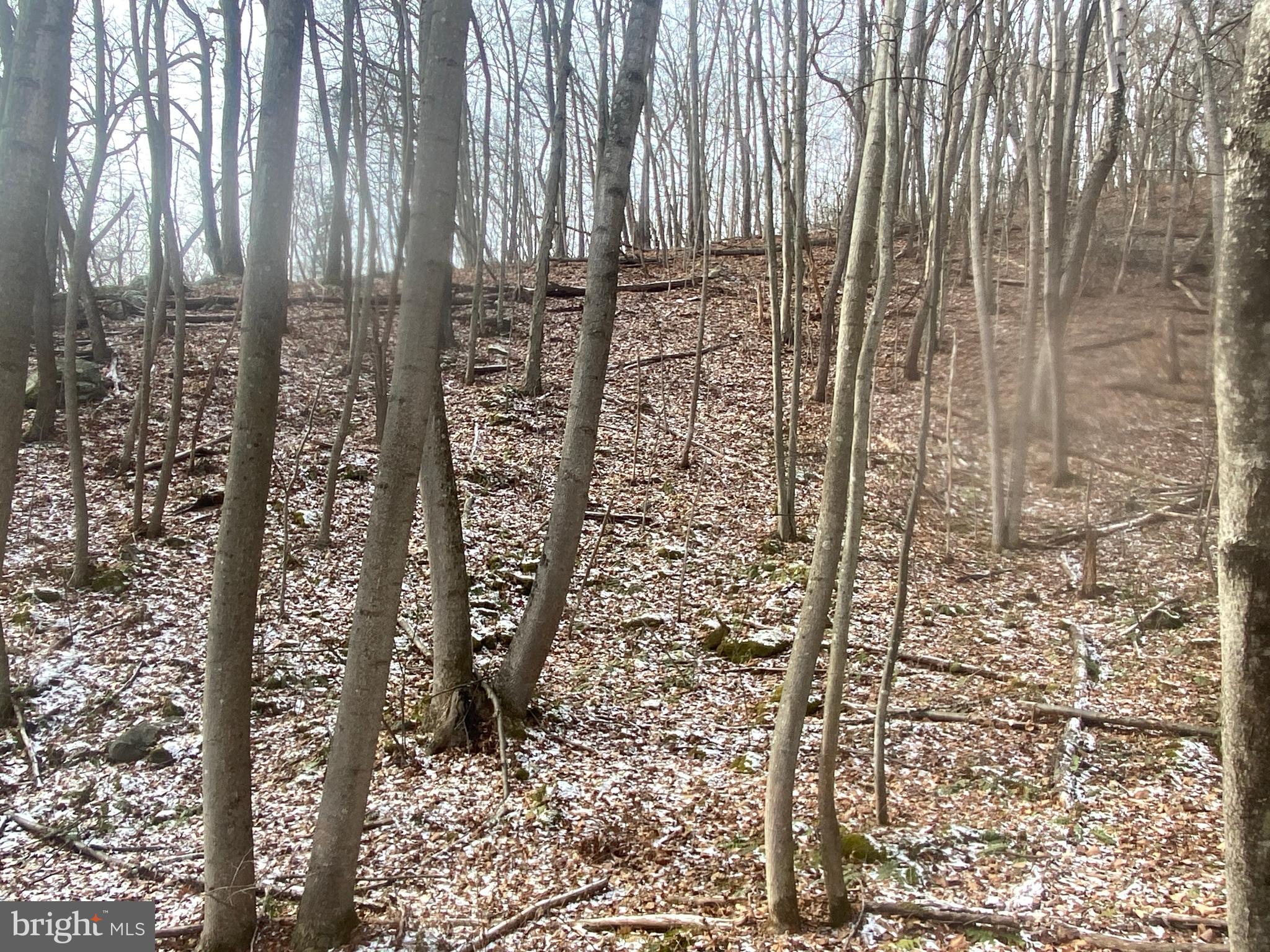 14600 Williams Road Southeast Cumberland, MD 21502 - Photo 104 of 108