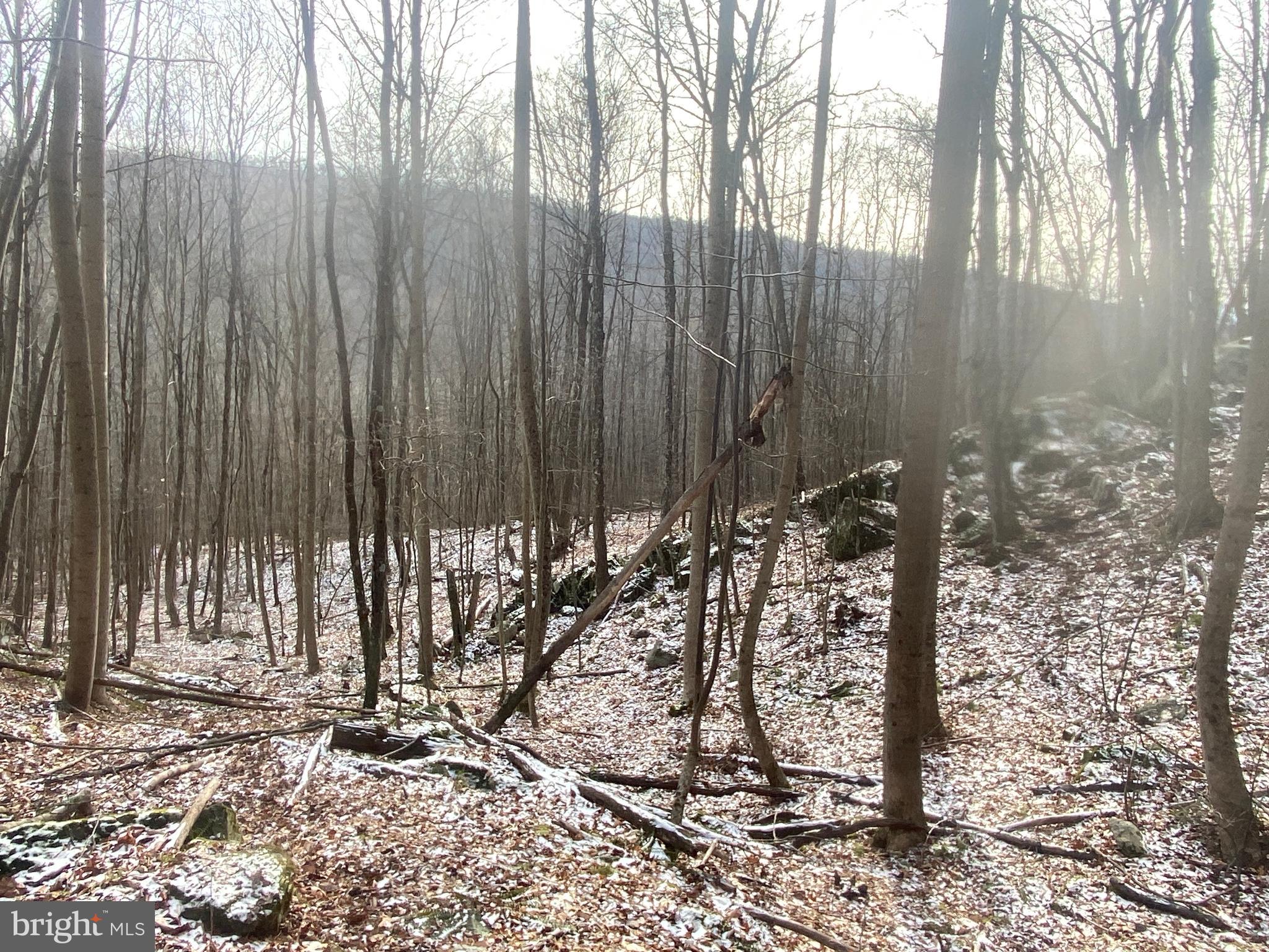 14600 Williams Road Southeast Cumberland, MD 21502 - Photo 105 of 108