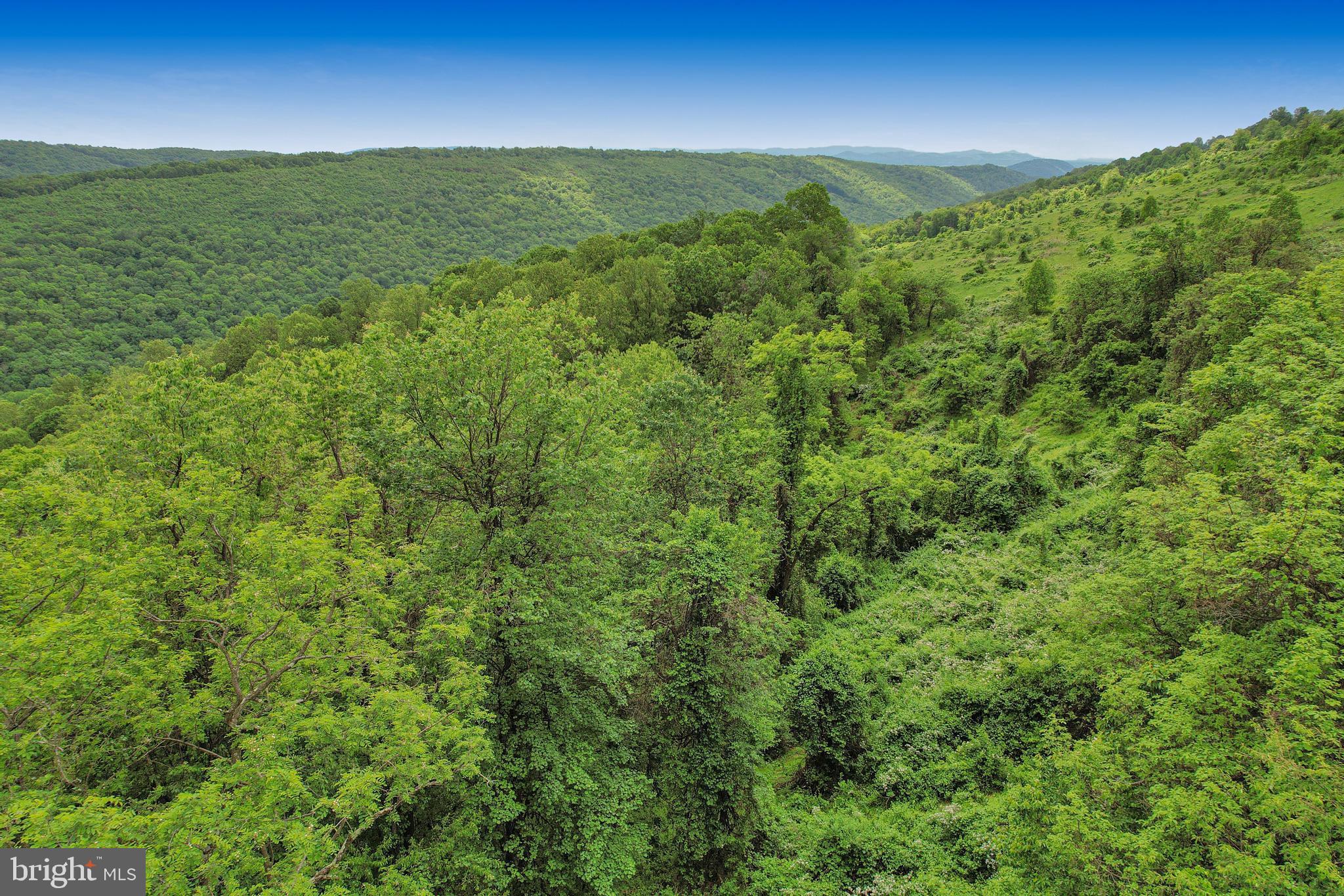 14600 Williams Road Southeast Cumberland, MD 21502 - Photo 12 of 109