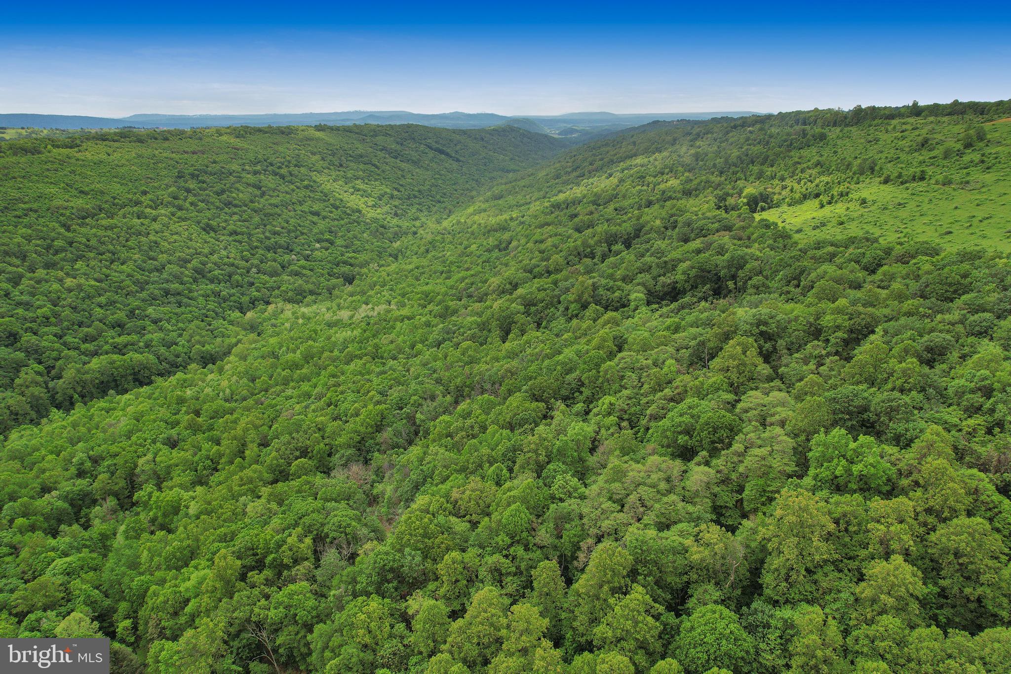 14600 Williams Road Southeast Cumberland, MD 21502 - Photo 12 of 108