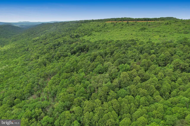 a view of a green field with lots of bushes