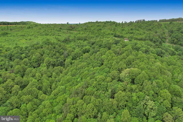 a view of a lush green forest with a houses