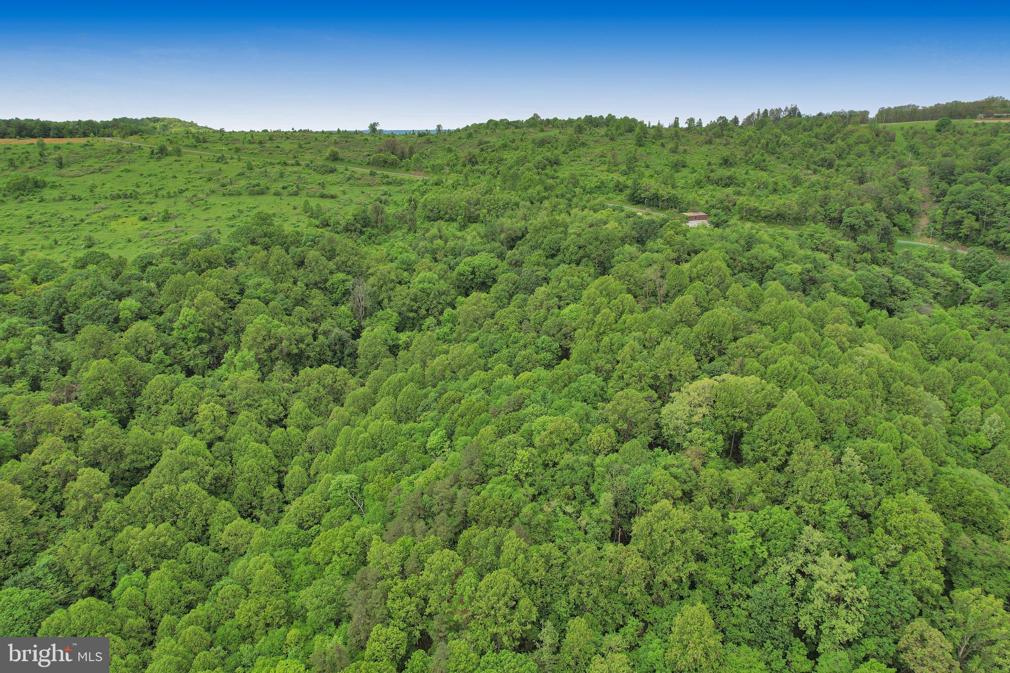 14600 Williams Road Southeast Cumberland, MD 21502 - Photo 14 of 108 a view of a green field with lots of bushes