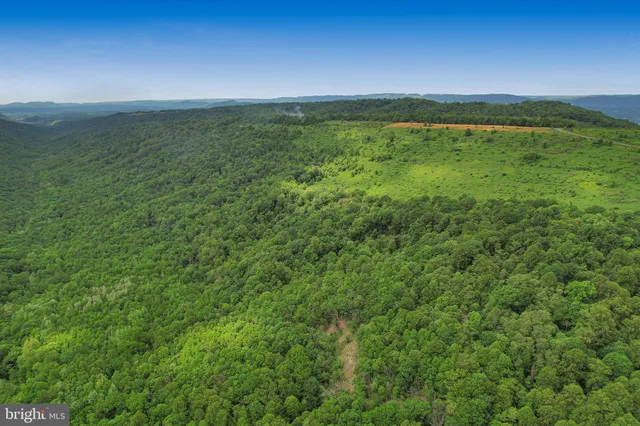 a view of a lush green hillside and a houses