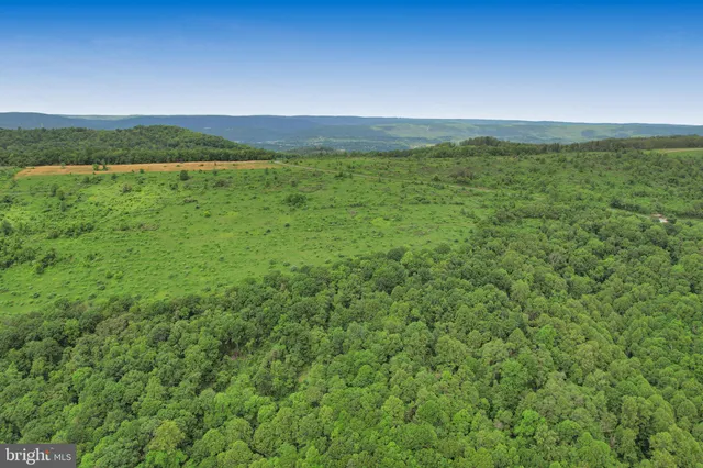 a view of a lush green forest with trees and some houses