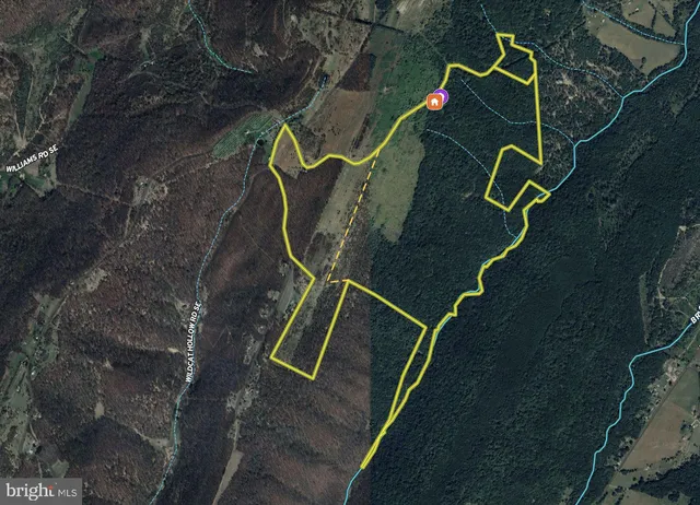 a garden view with a seating space