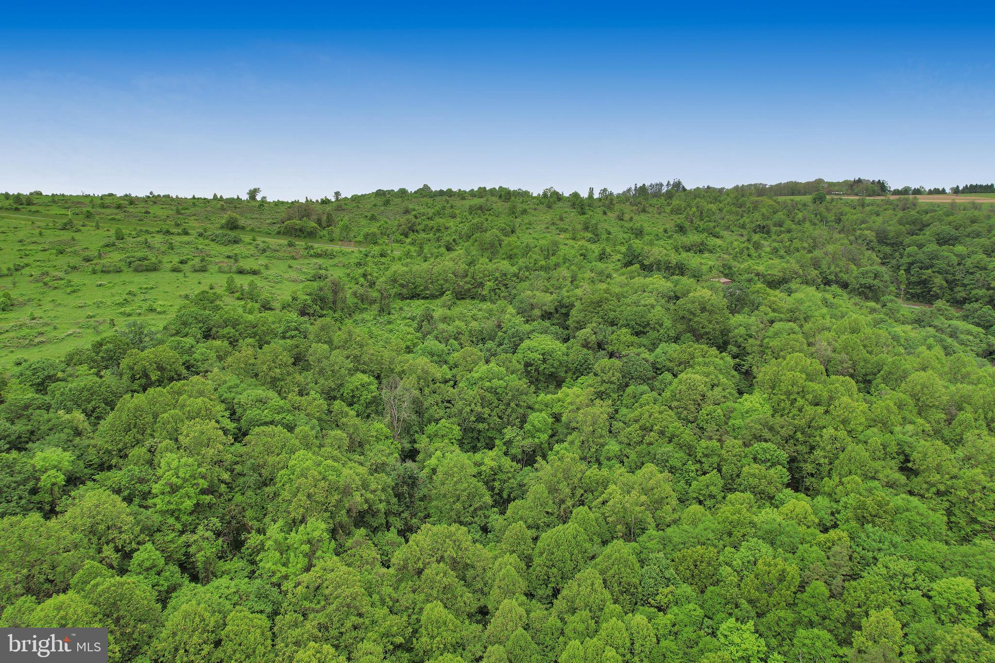 14600 Williams Road Southeast Cumberland, MD 21502 - Photo 21 of 108 a view of a green field with lots of bushes
