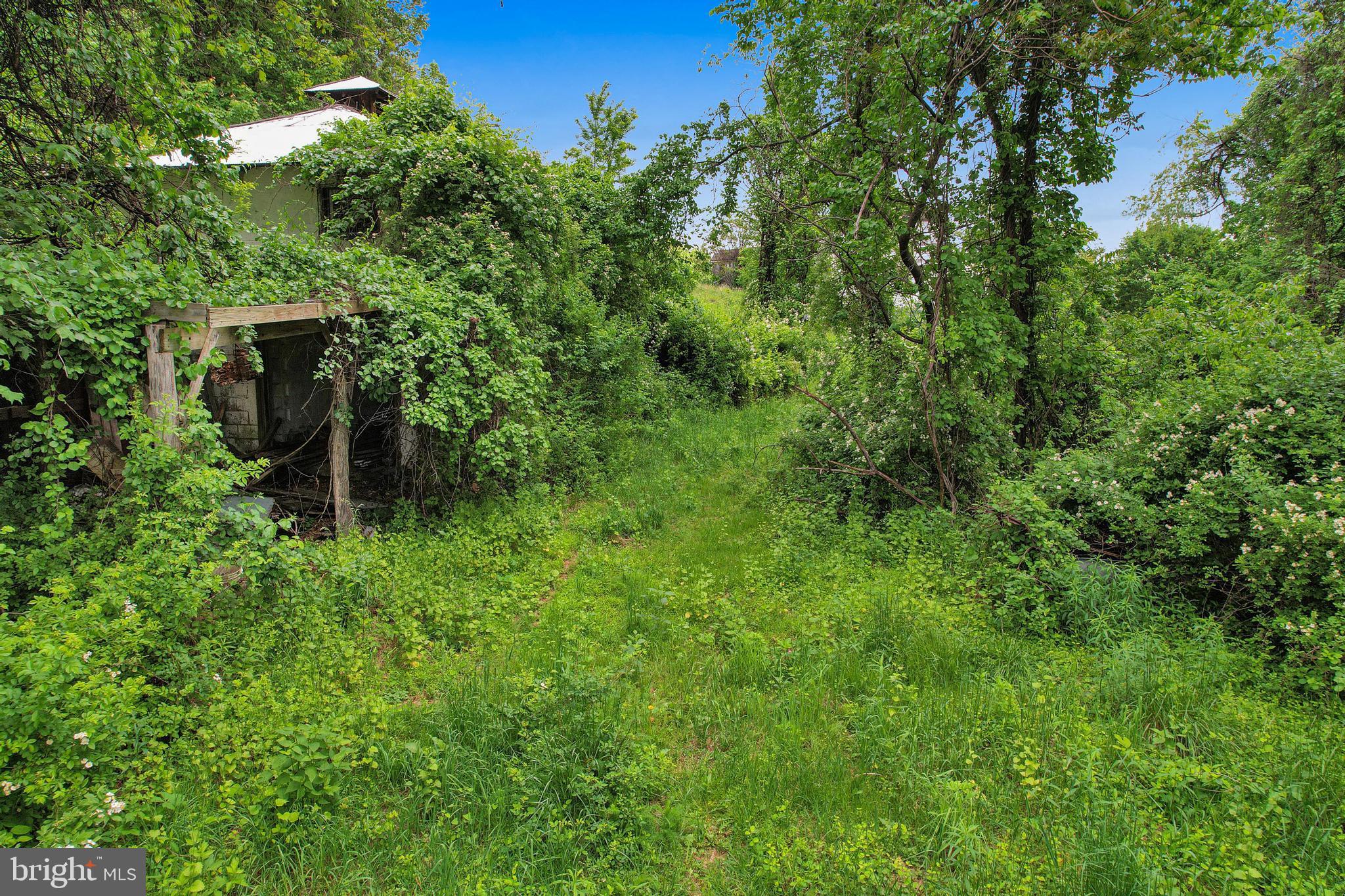 14600 Williams Road Southeast Cumberland, MD 21502 - Photo 22 of 108