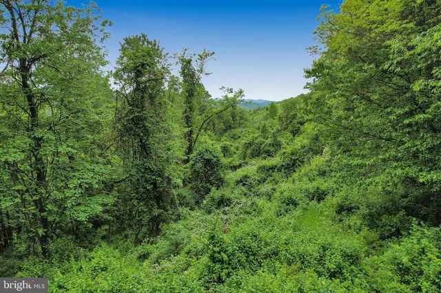 a view of outdoor space and green space