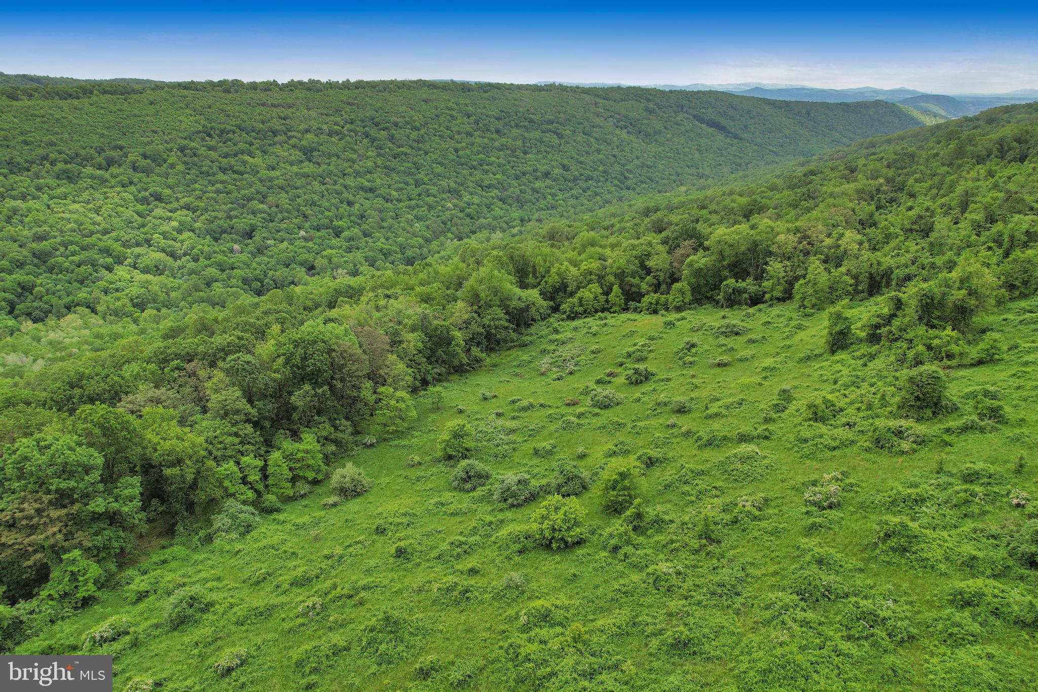 14600 Williams Road Southeast Cumberland, MD 21502 - Photo 25 of 108 a view of a green field with lots of bushes