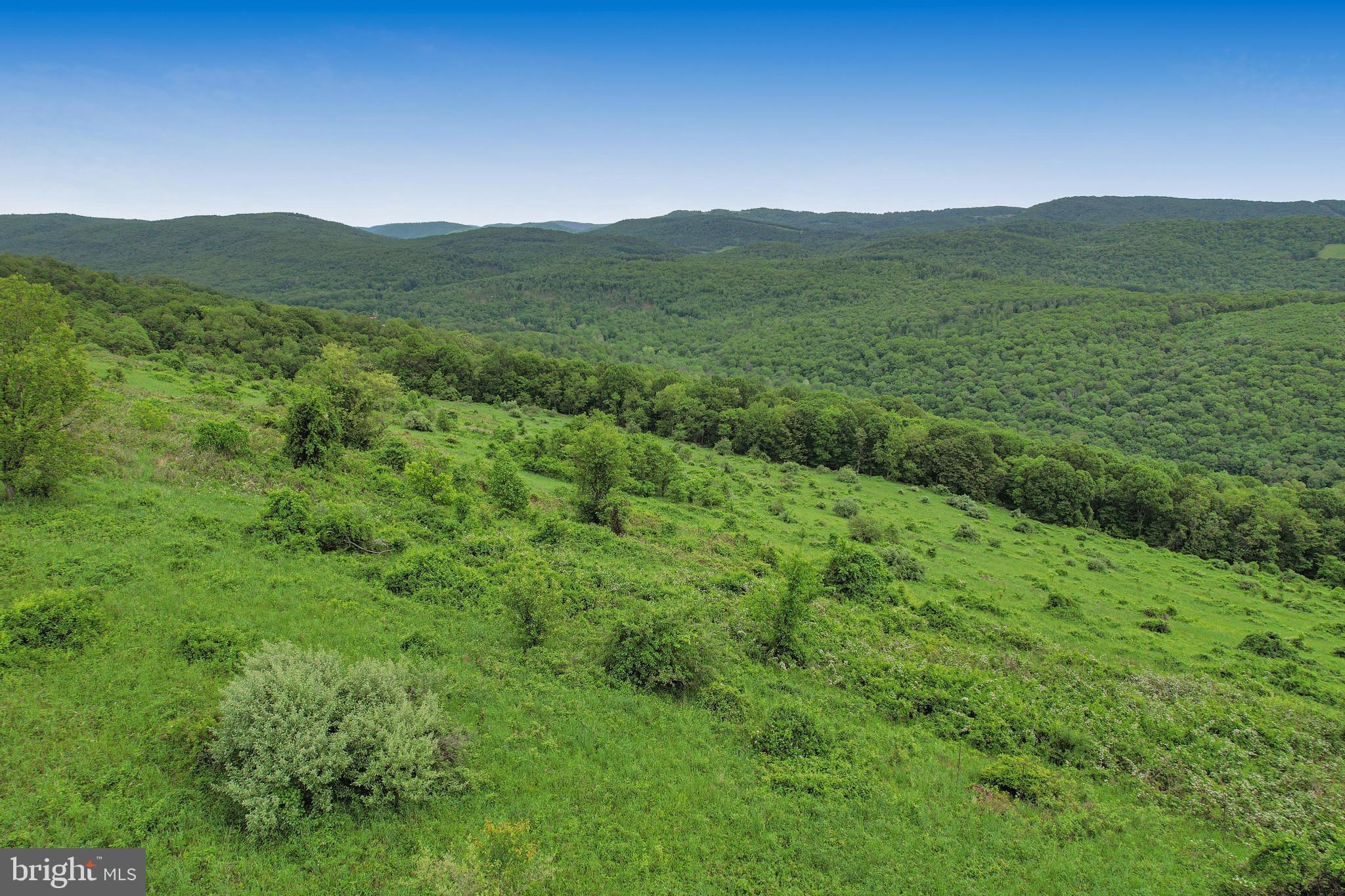 14600 Williams Road Southeast Cumberland, MD 21502 - Photo 25 of 109 a view of a lush green hillside and a mountain