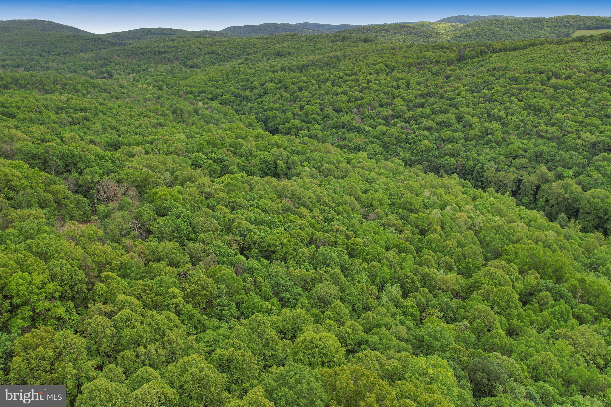 14600 Williams Road Southeast Cumberland, MD 21502 - Photo 28 of 108 a view of a lush green forest with a houses