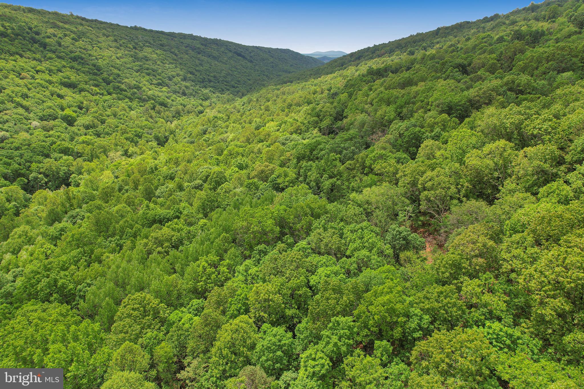 14600 Williams Road Southeast Cumberland, MD 21502 - Photo 30 of 109 a view of a lush green forest with a mountain