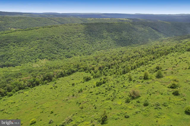 a view of a dry yard