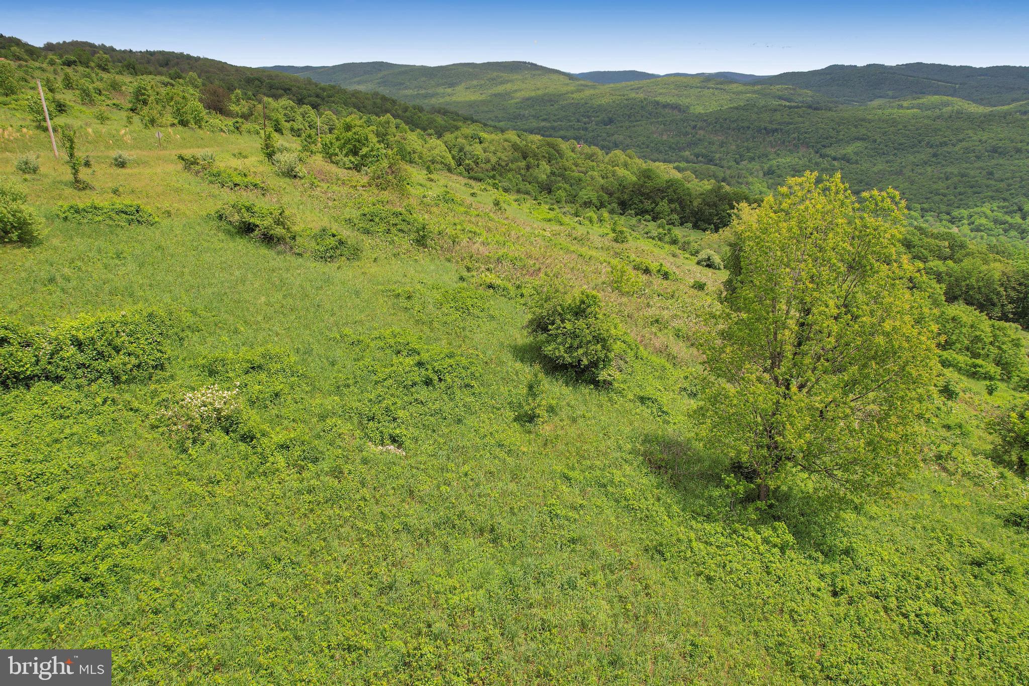 14600 Williams Road Southeast Cumberland, MD 21502 - Photo 35 of 109 a view of a lush green hillside and a houses