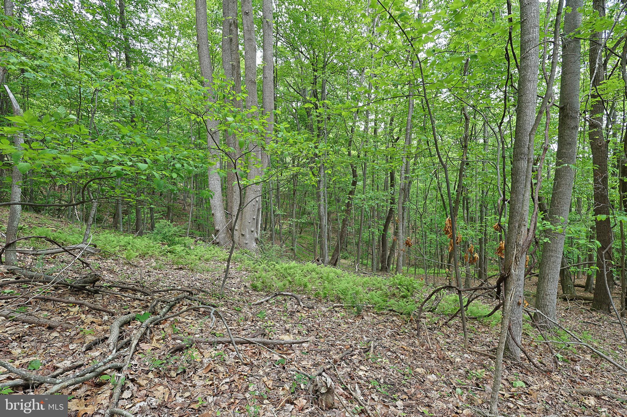 14600 Williams Road Southeast Cumberland, MD 21502 - Photo 39 of 109 a view of a backyard