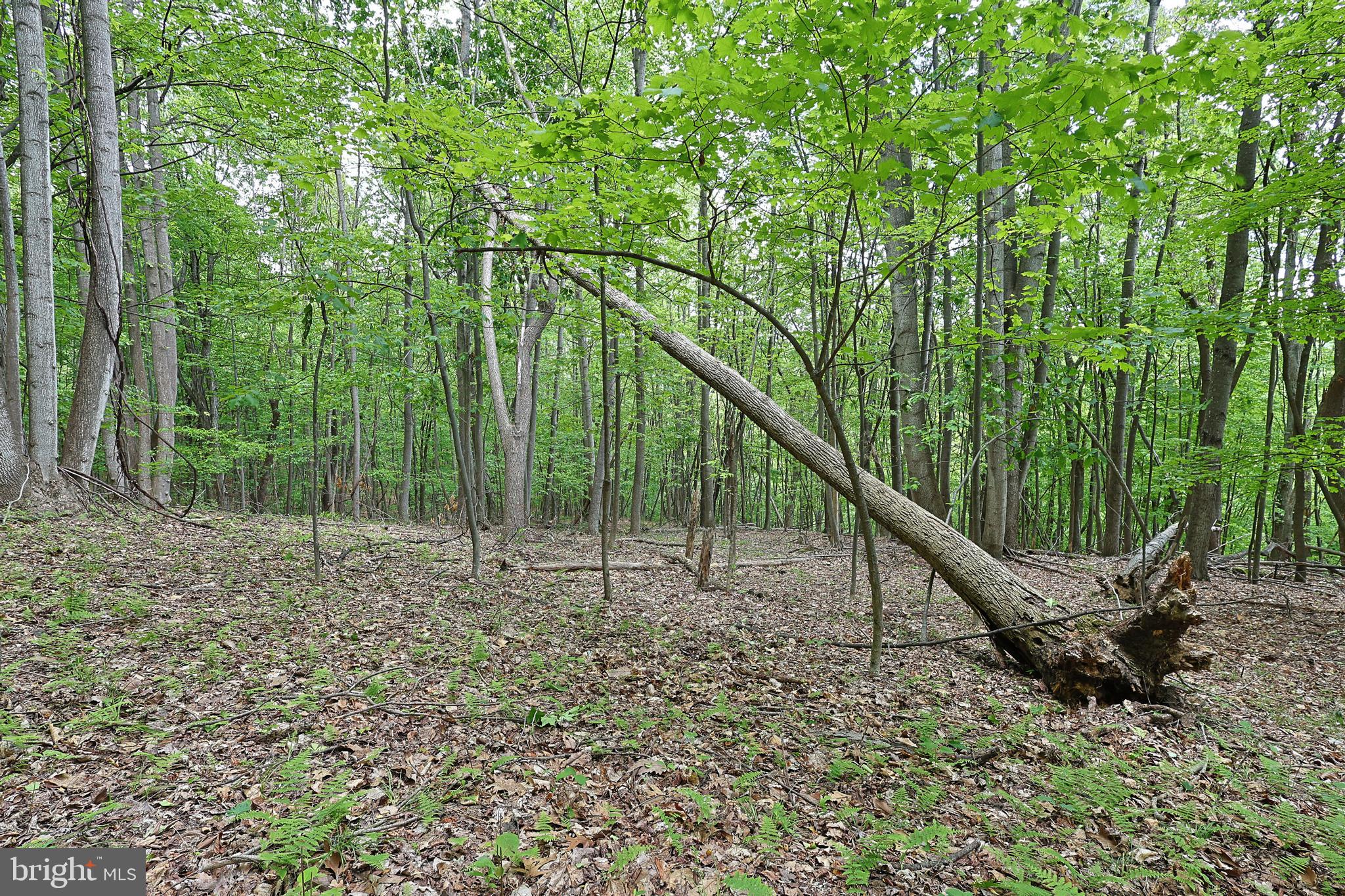 14600 Williams Road Southeast Cumberland, MD 21502 - Photo 41 of 109