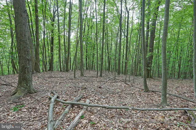 a view of mountain with green field