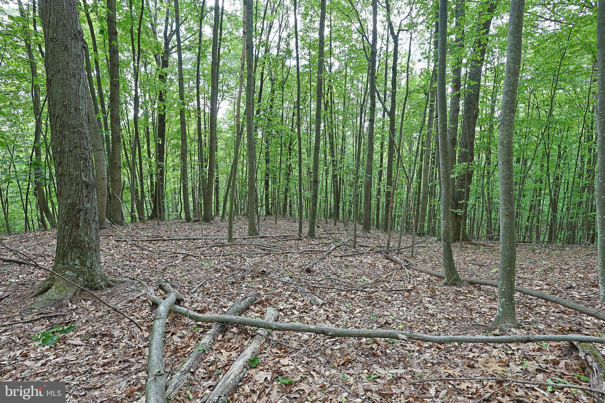 14600 Williams Road Southeast Cumberland, MD 21502 - Photo 42 of 109 a view of outdoor space and green space