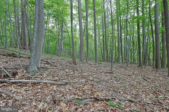 a view of mountain with sunset in background